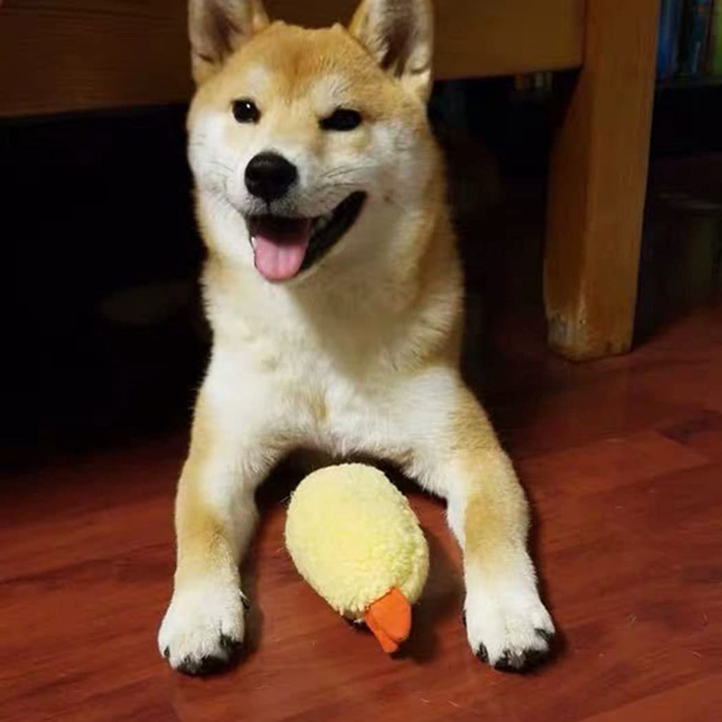Bite Proof Squeaky Dog Toy F9472