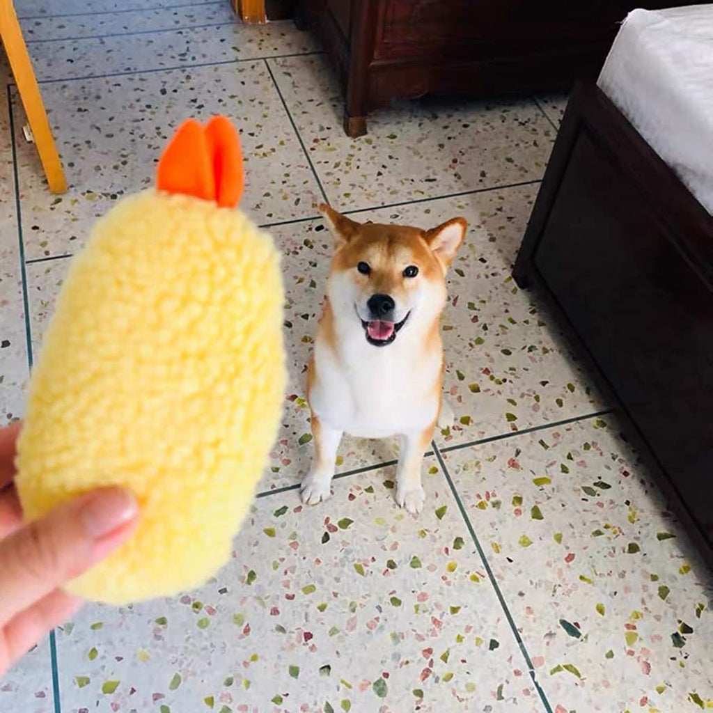 Bite Proof Squeaky Dog Toy F9472