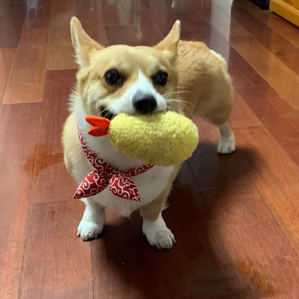Bite Proof Squeaky Dog Toy F9472