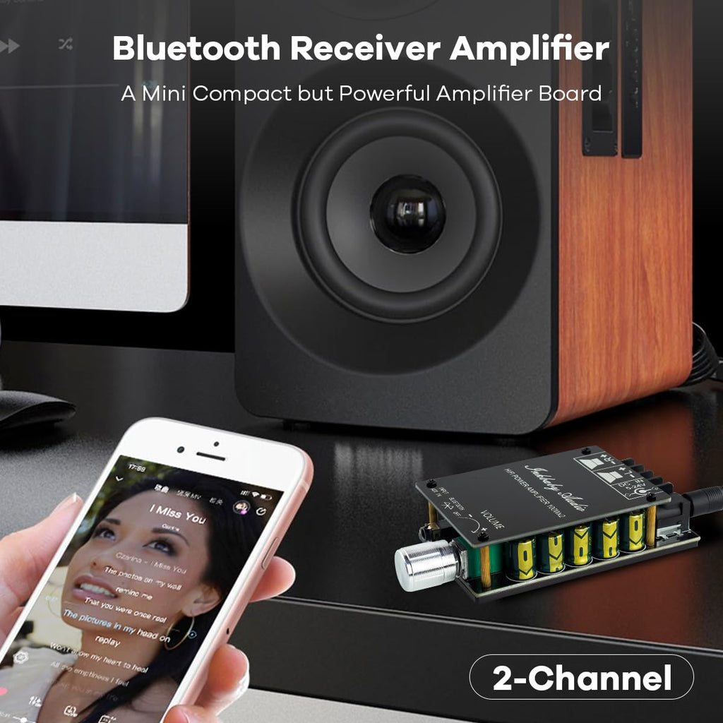 200W Bluetooth 5.0 Stereo Dual Channel Mini Amp Board D8689