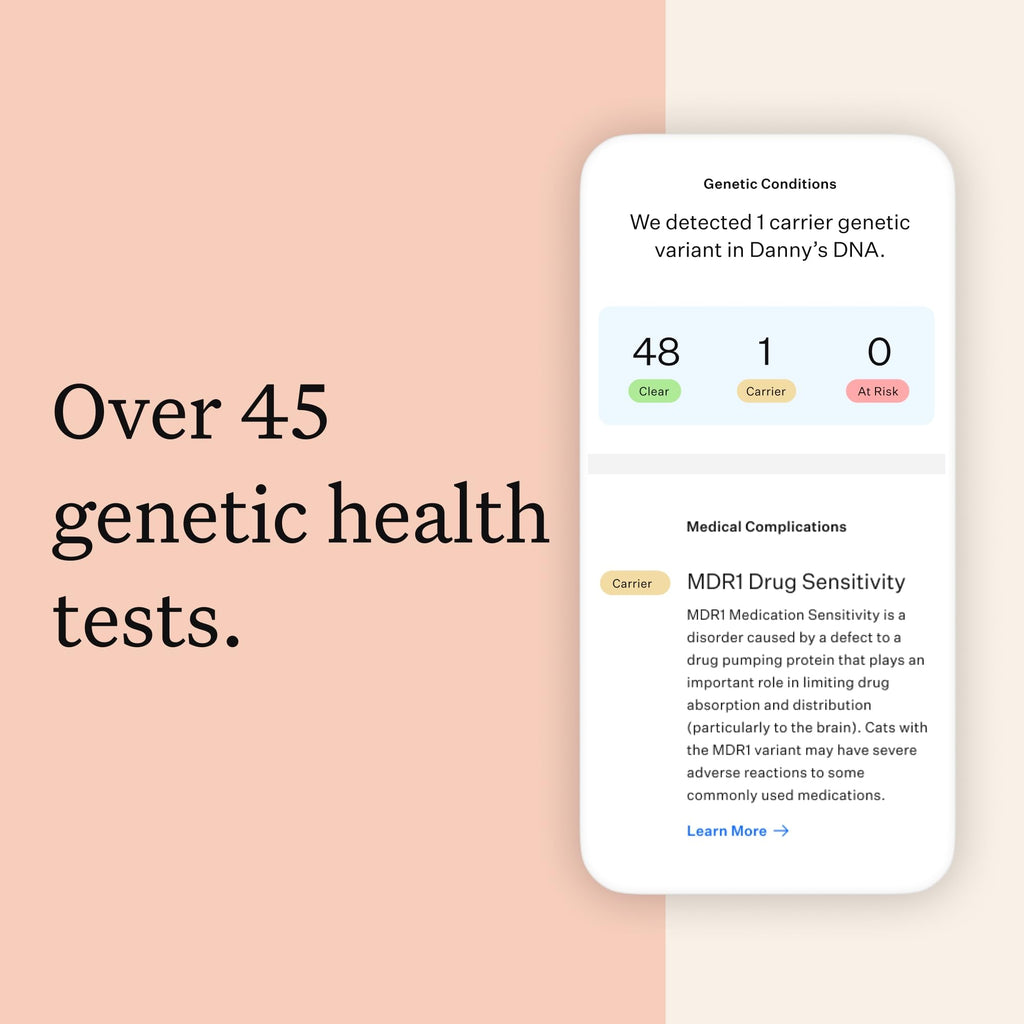 Cat DNA Test Kit, 45 Health Conditions, 1 Pack Y19197