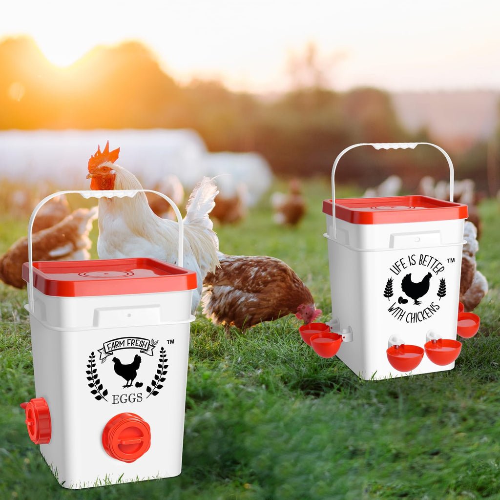 5Gal/25Lb Chicken Feeder and Waterer Set with S-Hooks Y40661