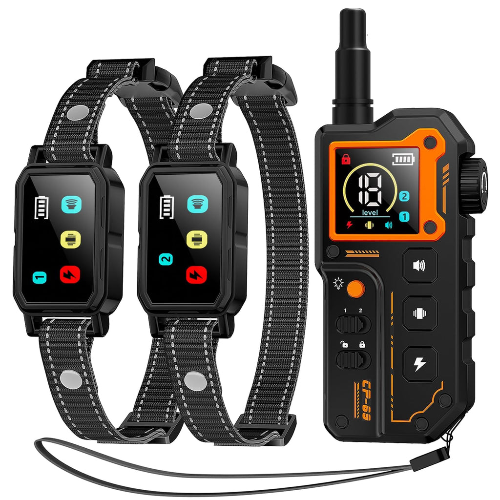 Dog Training Collar with Remote Y34494
