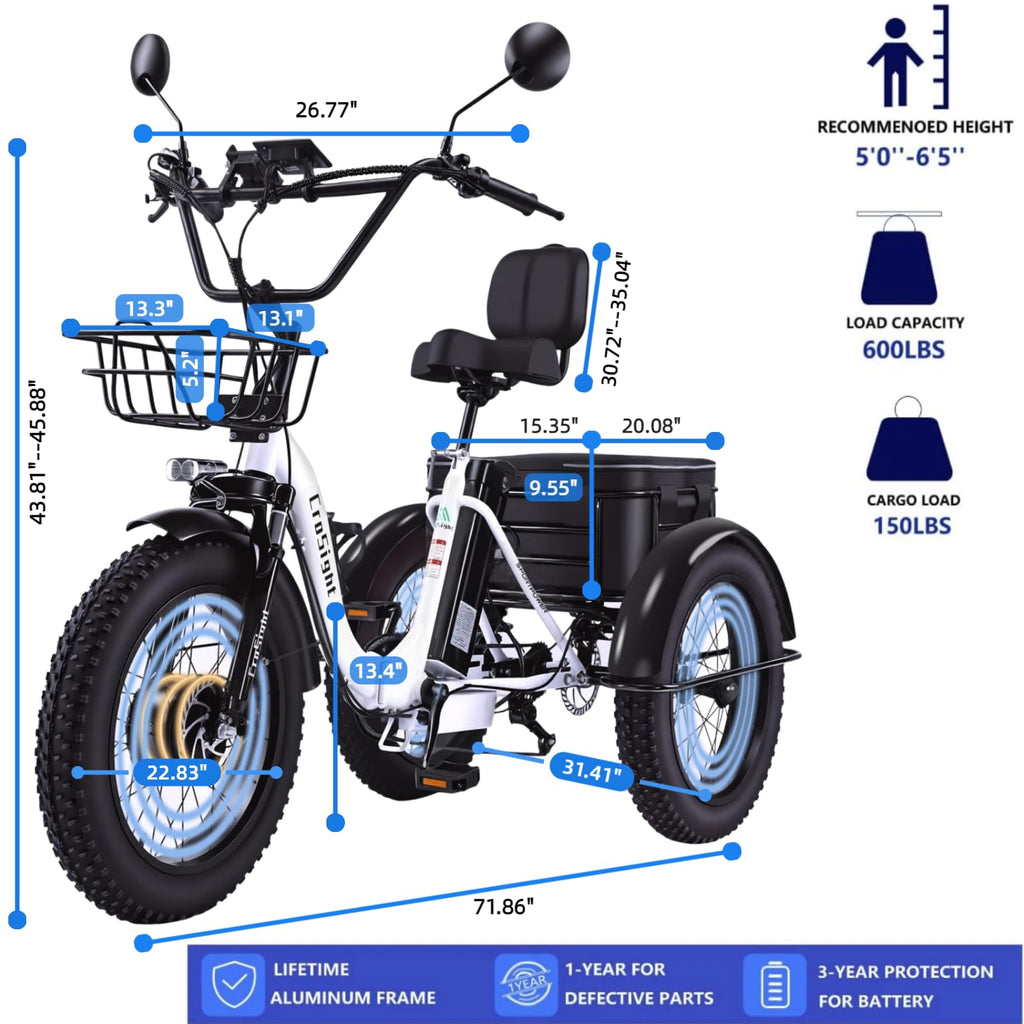 20" Fat Tire Folding Electric Tricycle 750W 48V W6972