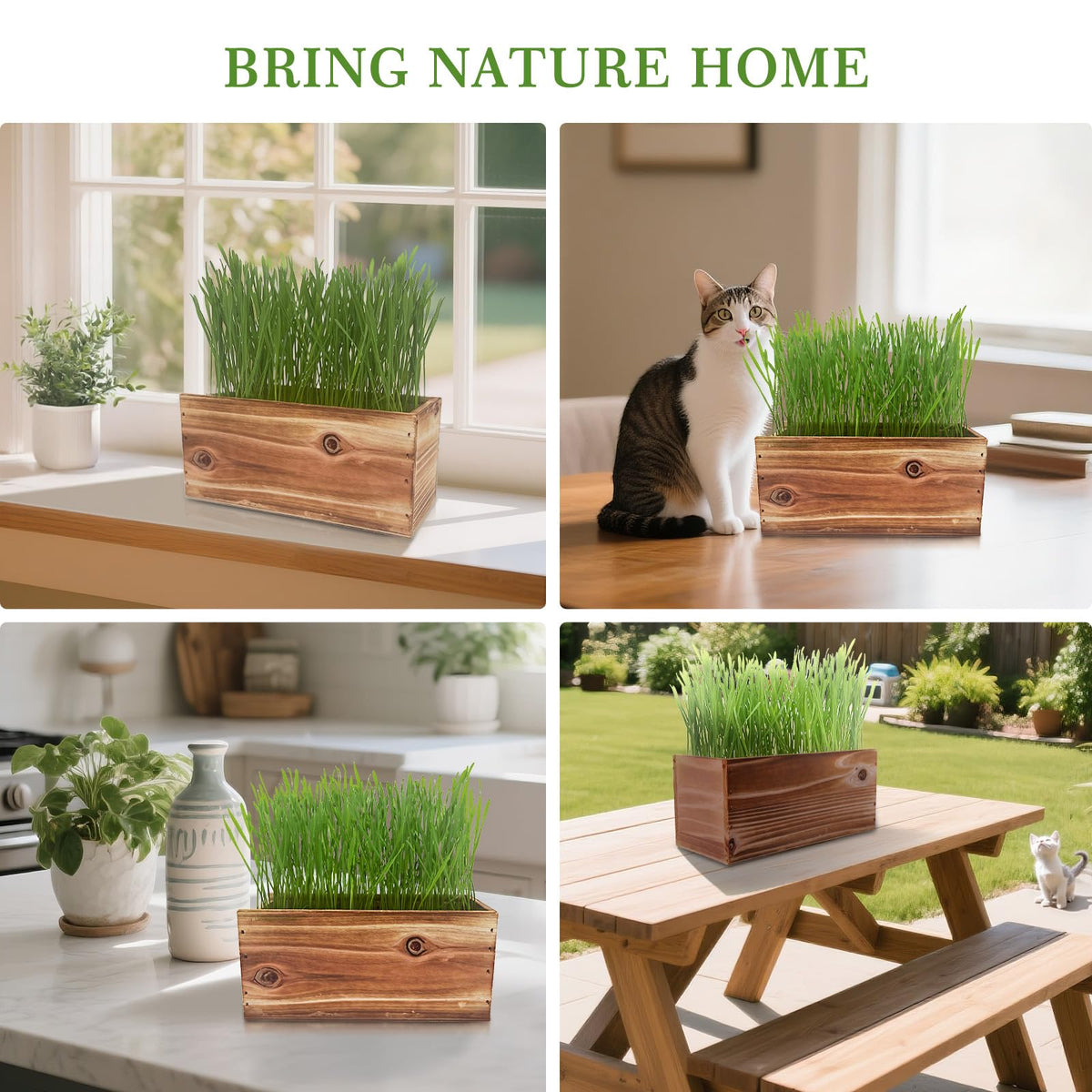 Non-GMO Wheatgrass Cat Grass Kit with Wood Planter Soil & Tools 17-Piece Set O33677