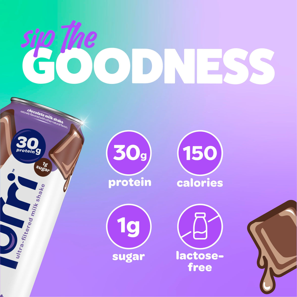 30g Protein Chocolate Lactose Free Milk Shake 12 Cans Q213