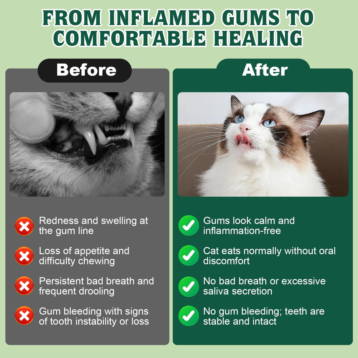 Natural Plant-Based Cat Oral Care 4 oz H36711