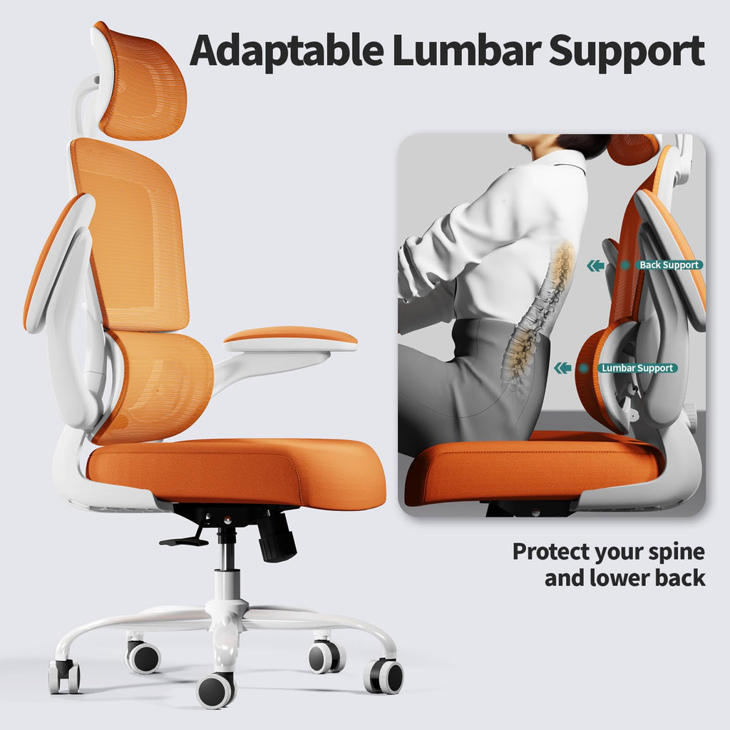 Ergonomic Office Chair with Lumbar Support C846