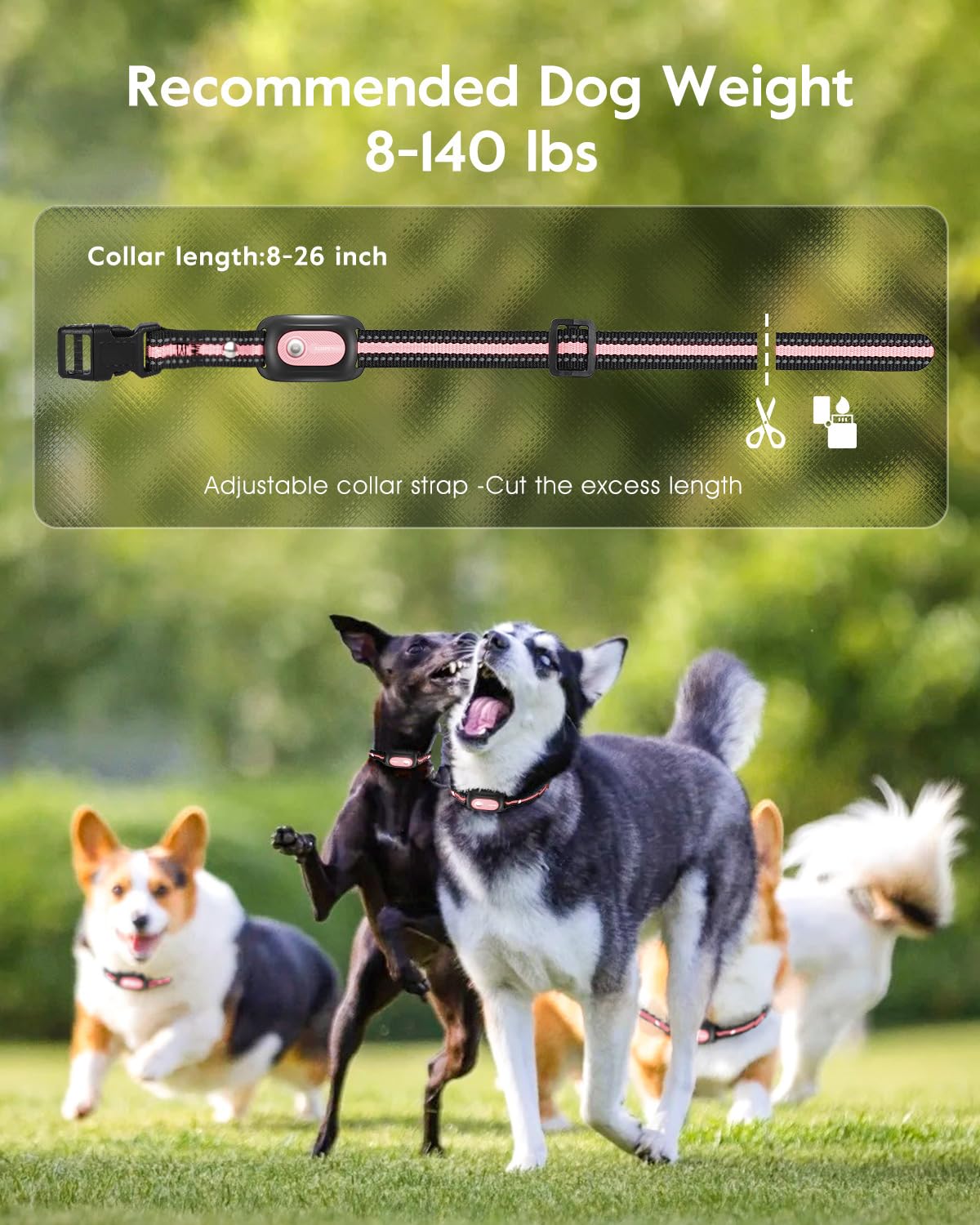 Pink Dog Training Collar with Remote P328046