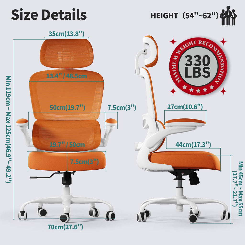 Ergonomic Office Chair with Lumbar Support C846