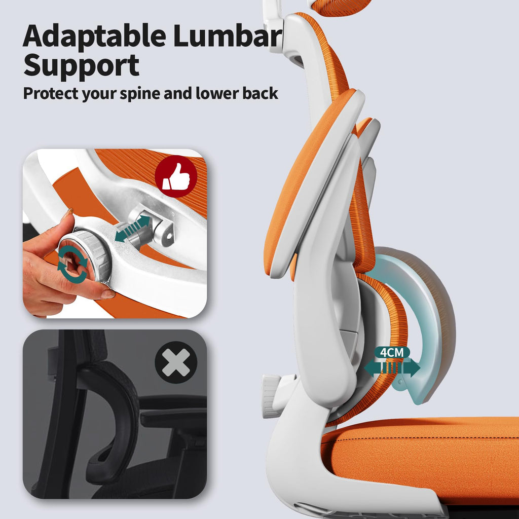 Ergonomic Office Chair with Lumbar Support C846