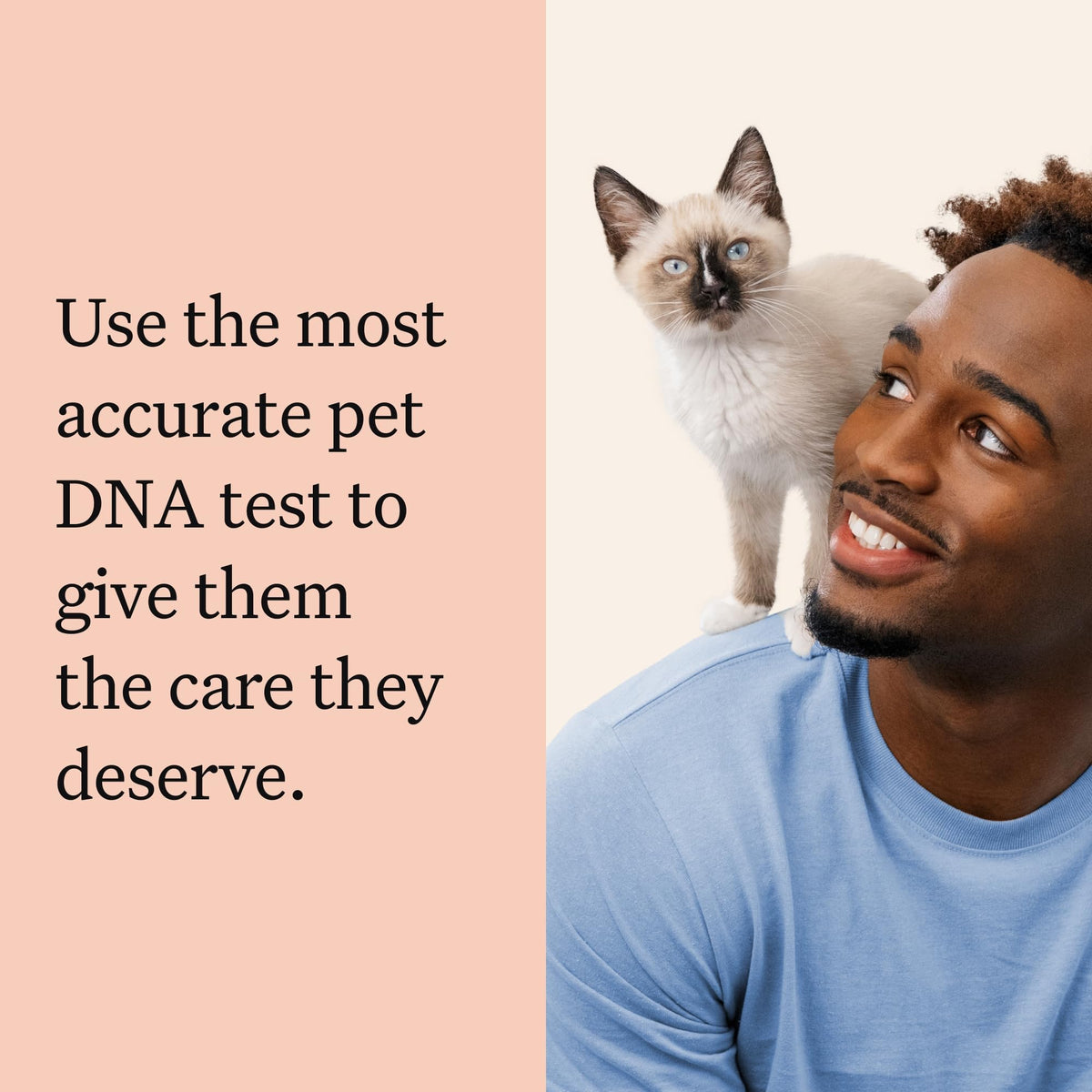 Cat DNA Test Kit, 45 Health Conditions, 1 Pack Y19197