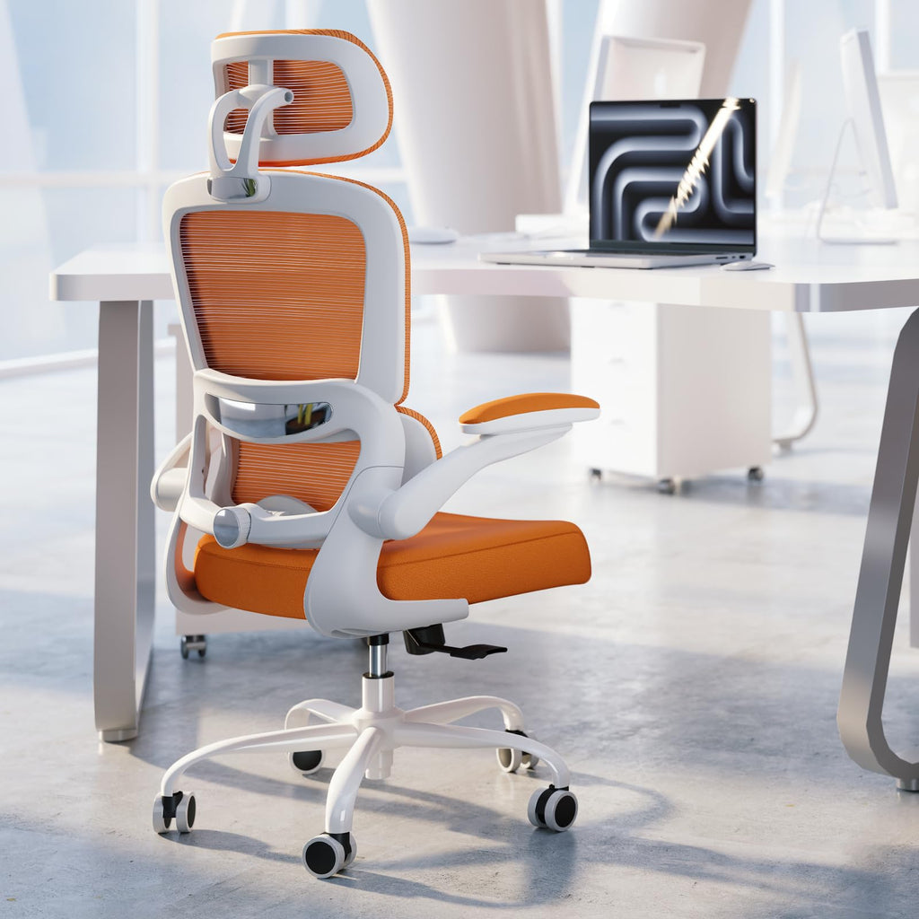 Ergonomic Office Chair with Lumbar Support C846