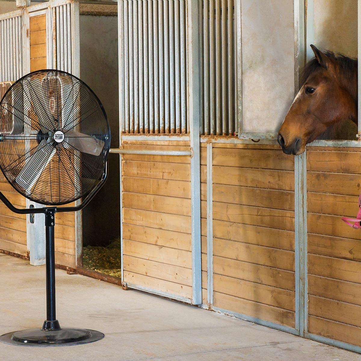 30" Heavy Duty Pedestal Fan R2087