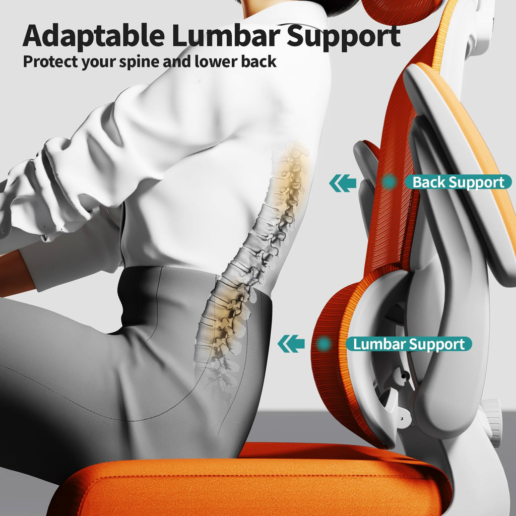 Ergonomic Office Chair with Lumbar Support C846