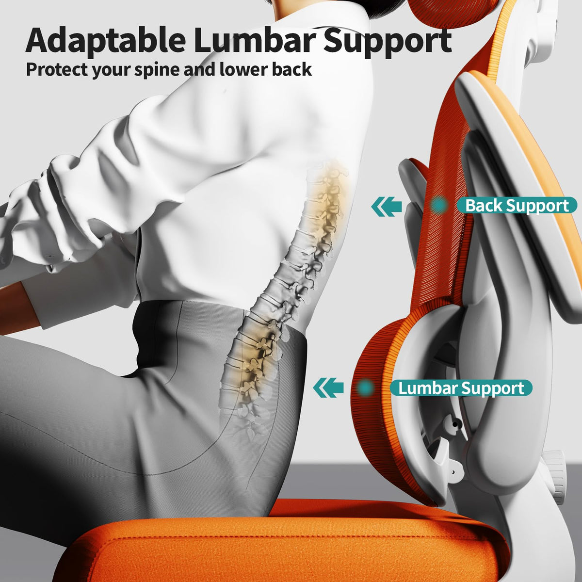 Ergonomic Office Chair with Lumbar Support C846