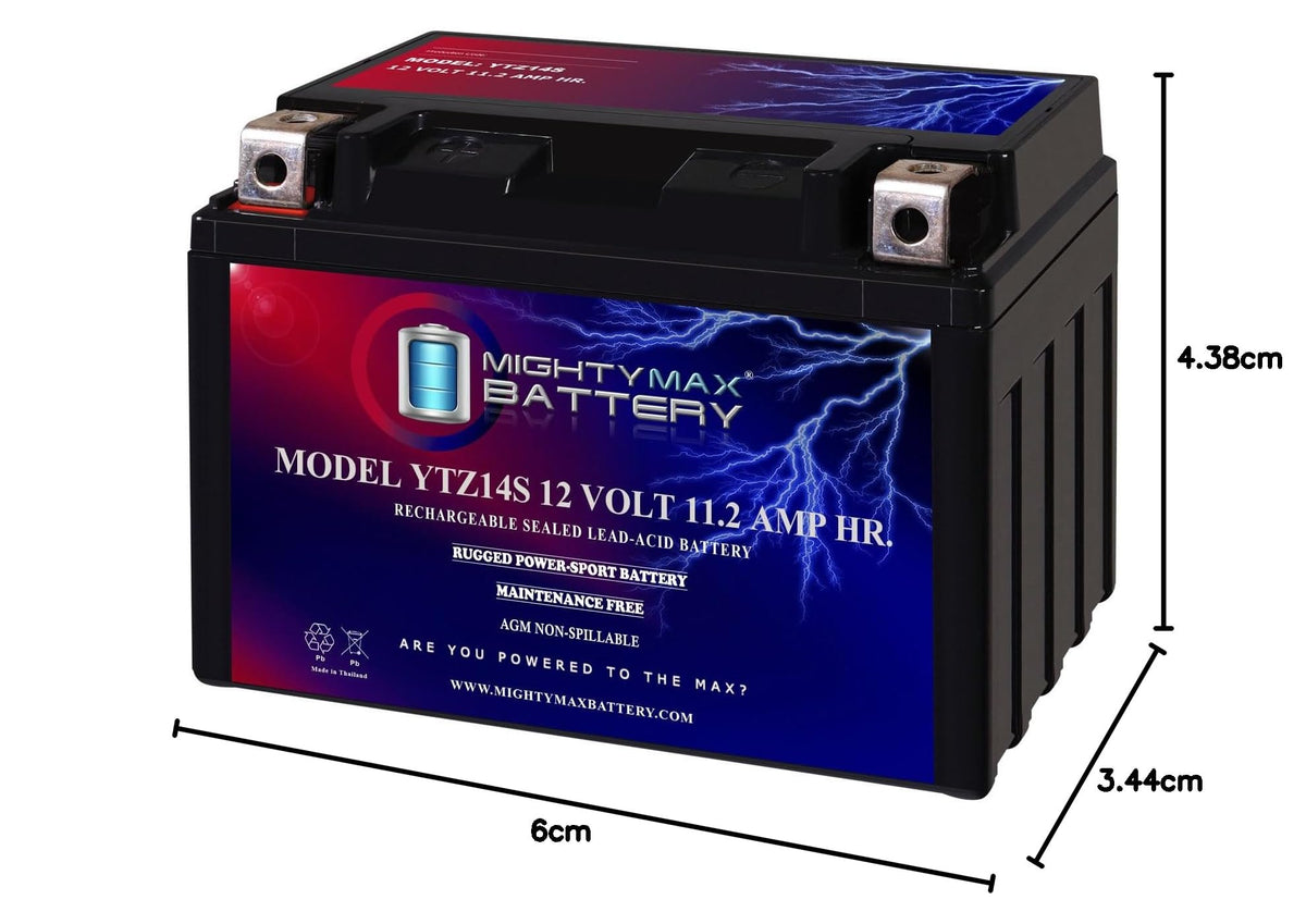 12V 11.2Ah Battery F165299