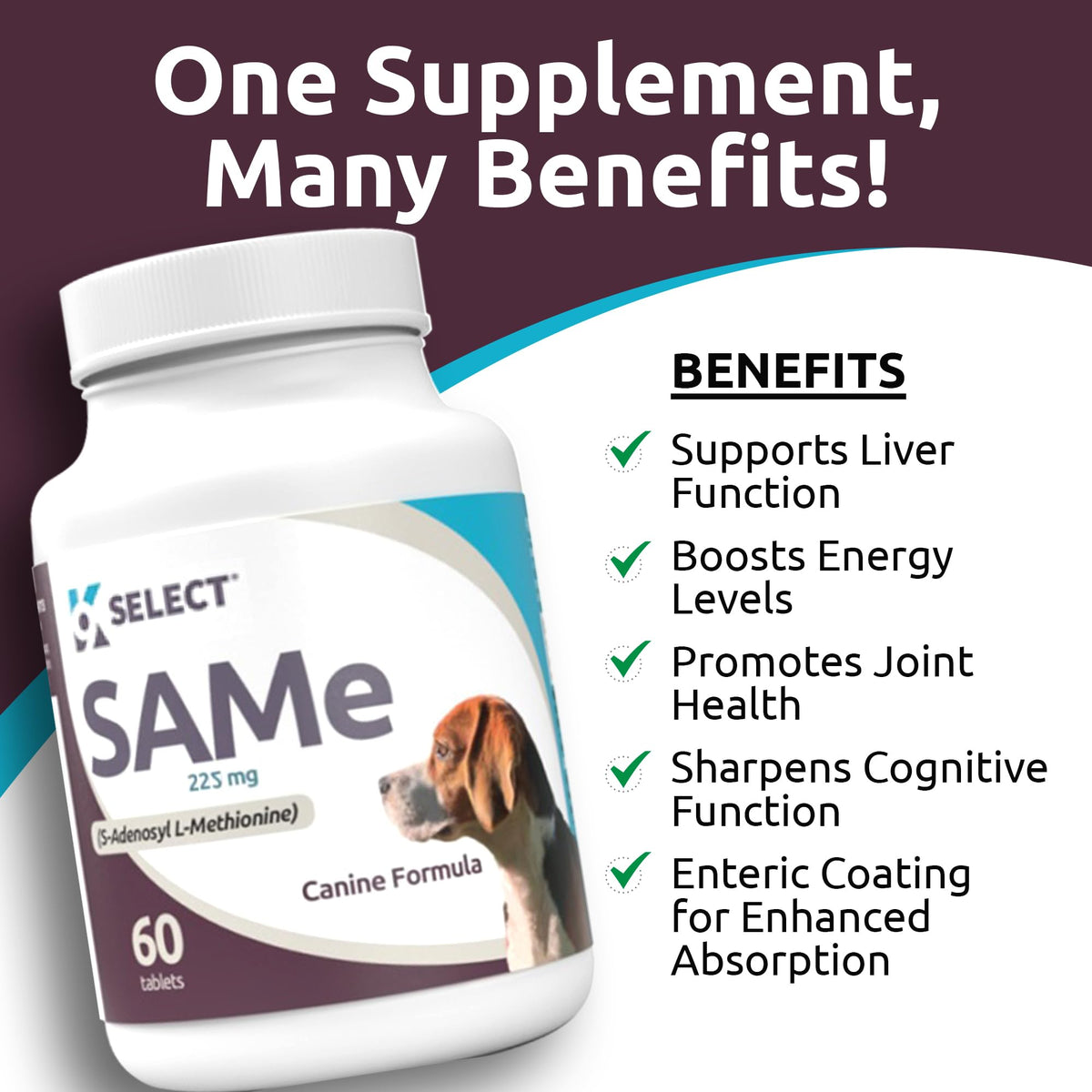Dog Liver Supplement 60 Tablet 225mg O76108