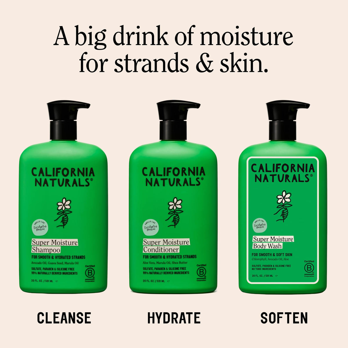 Eucalyptus Breeze Moisture Shampoo and Conditioner Set 20 fl oz L519627
