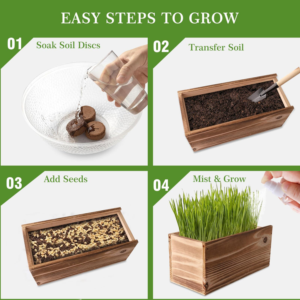 Non-GMO Wheatgrass Cat Grass Kit with Wood Planter Soil & Tools 17-Piece Set O33677