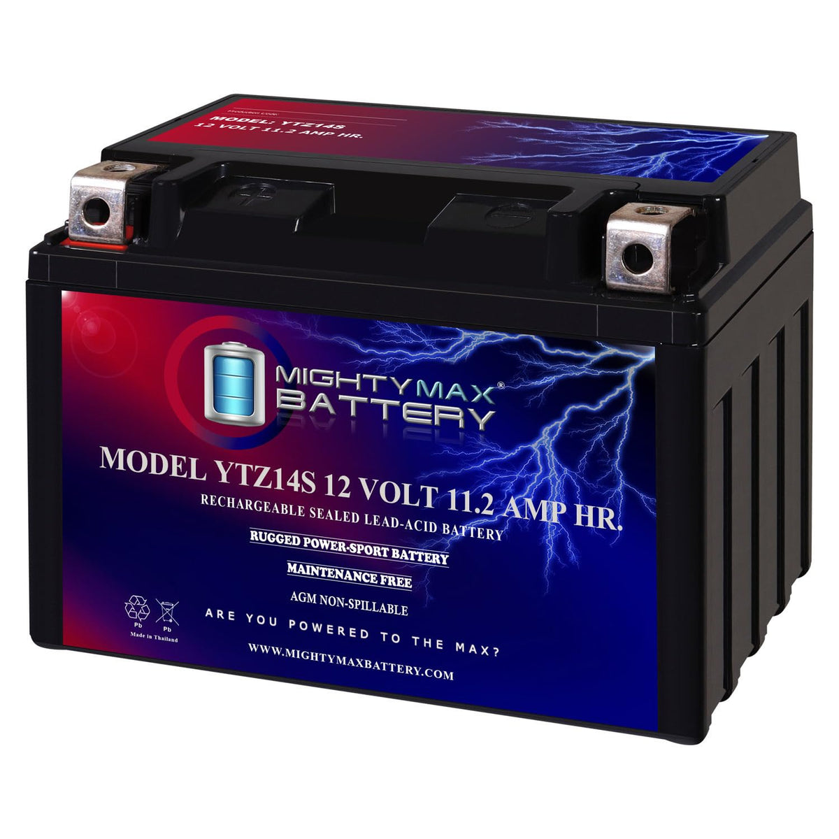12V 11.2Ah Battery F165299