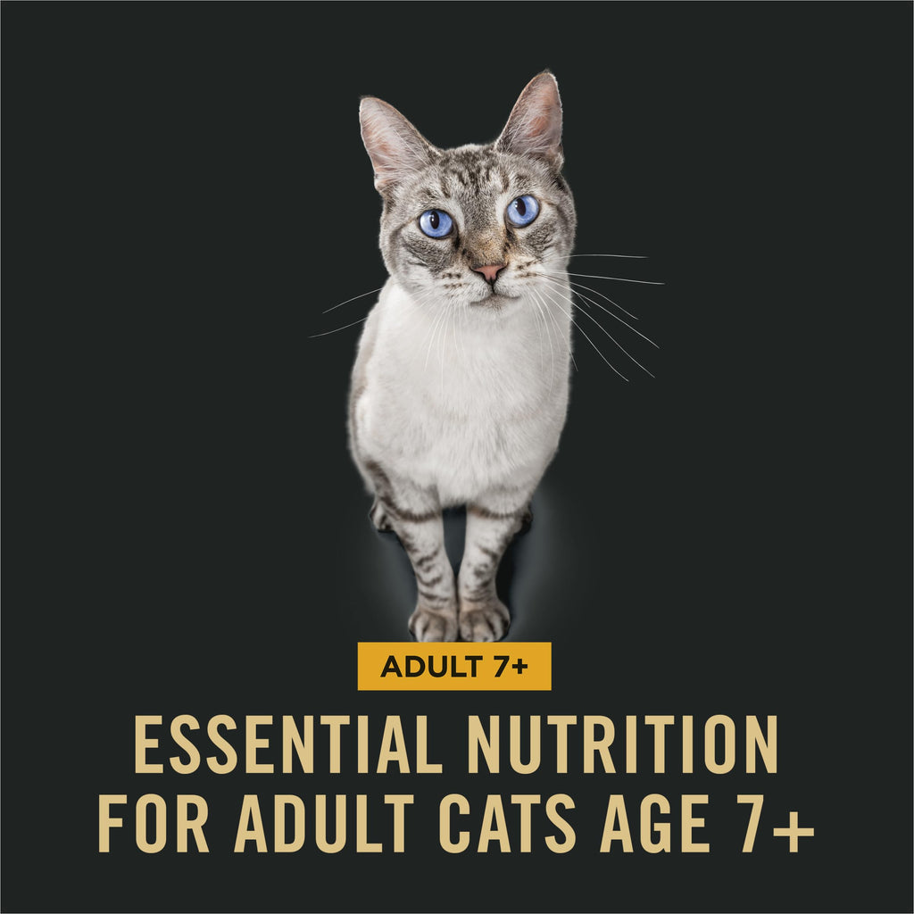 Senior Dry Cat Food, Chicken & Rice, 3.5 lb Bag E33320