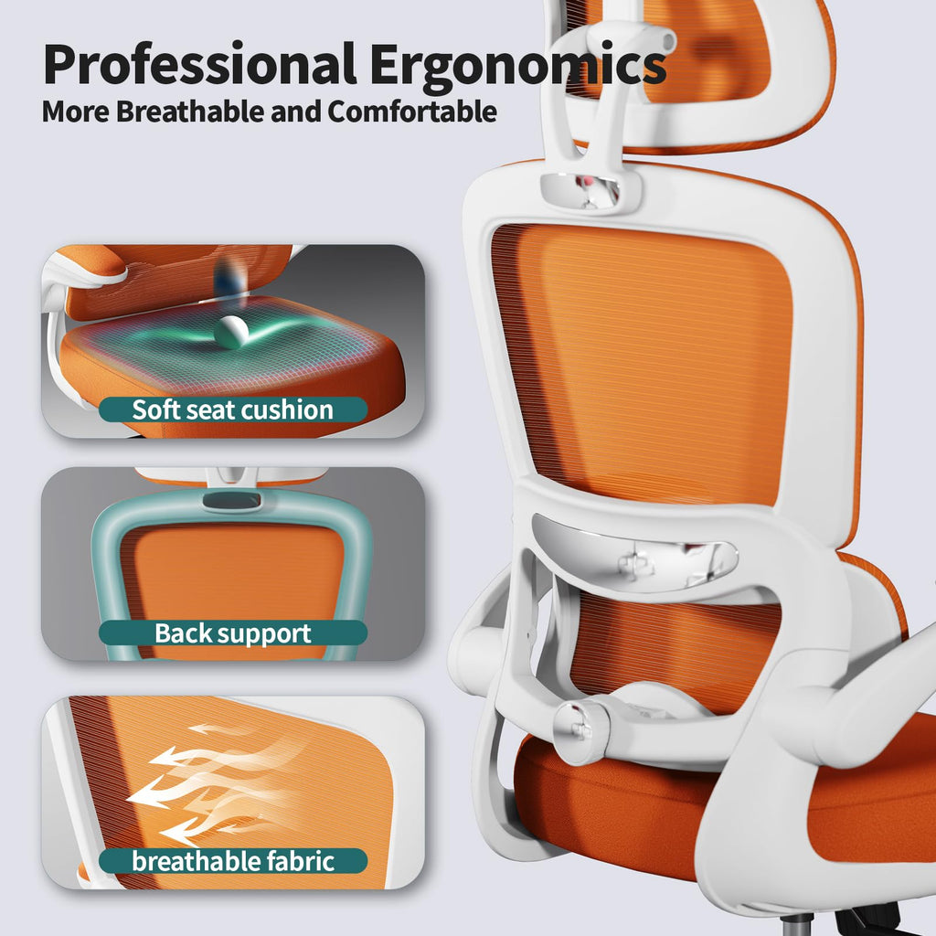 Ergonomic Office Chair with Lumbar Support C846