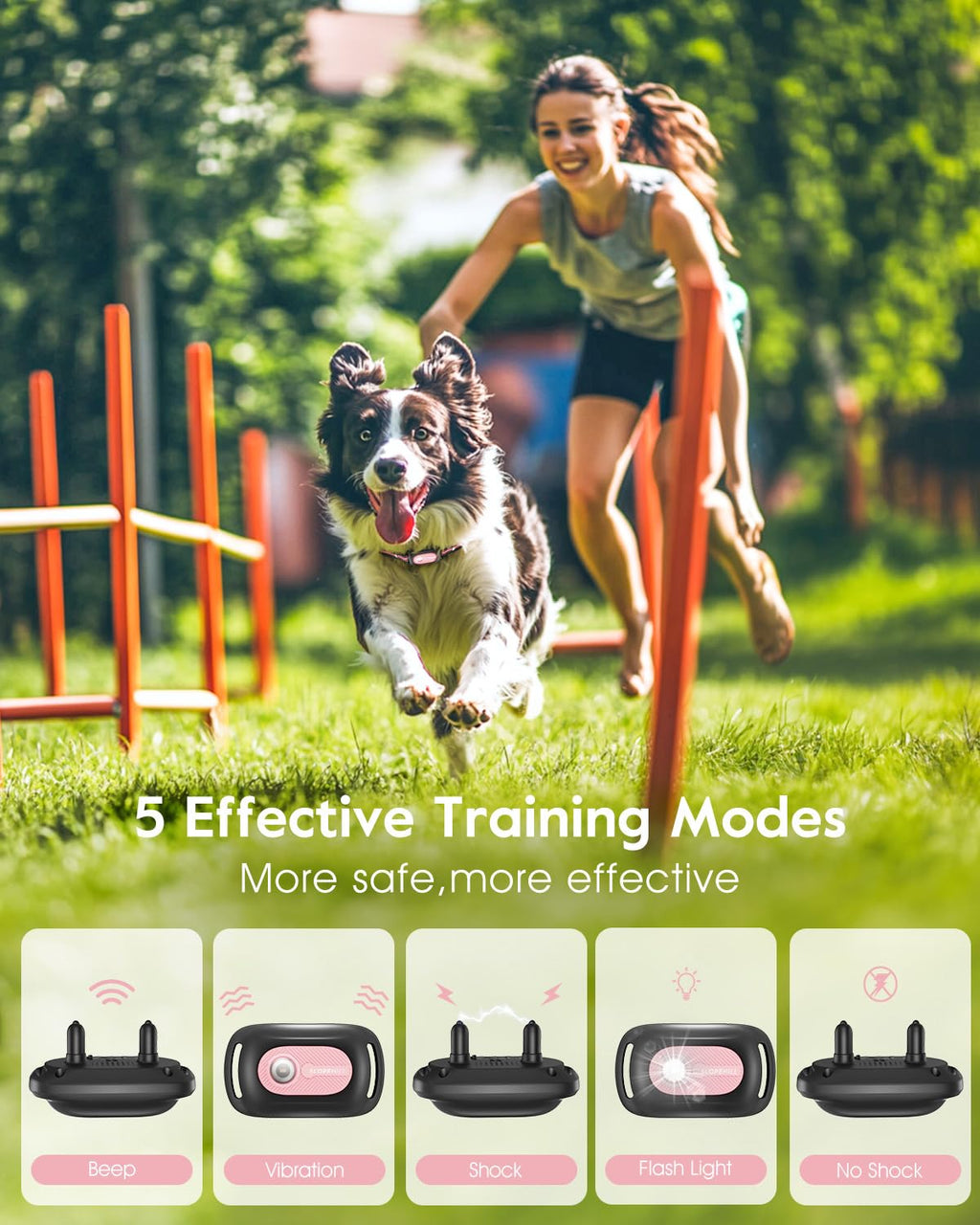 Pink Dog Training Collar with Remote P328046