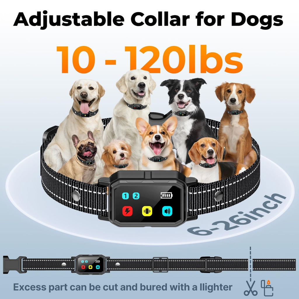 Dog Training Collar with Remote Y34494