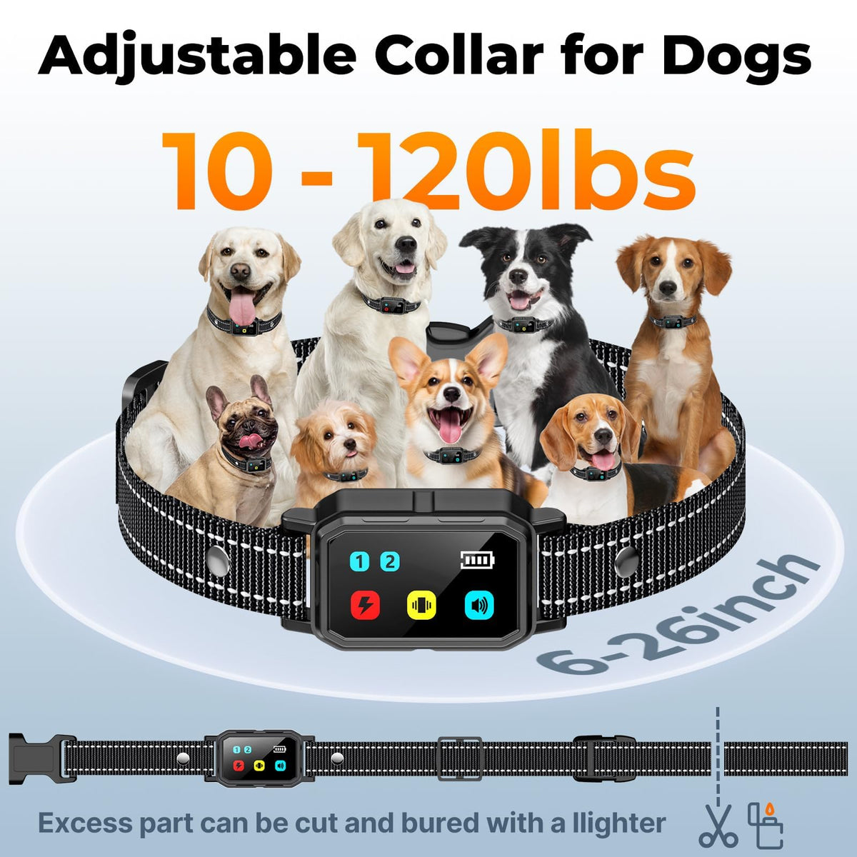 Dog Training Collar with Remote Y34494