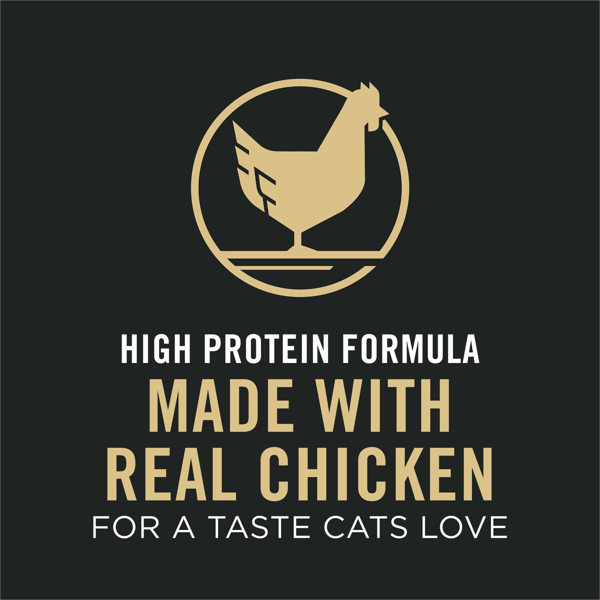 Senior Dry Cat Food, Chicken & Rice, 3.5 lb Bag E33320