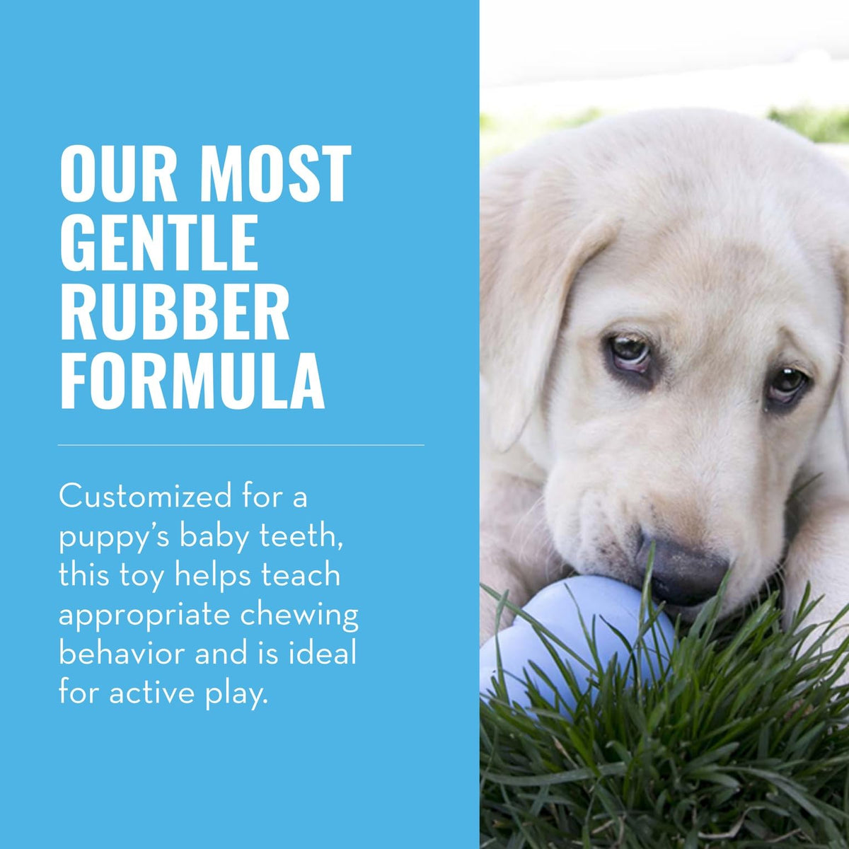 Natural Rubber Teething Chew Toy N34659