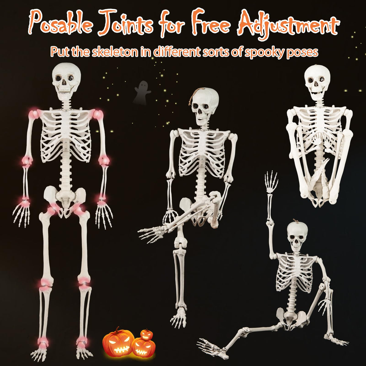 Life Size Posable Skeleton with Movable Joints H404684