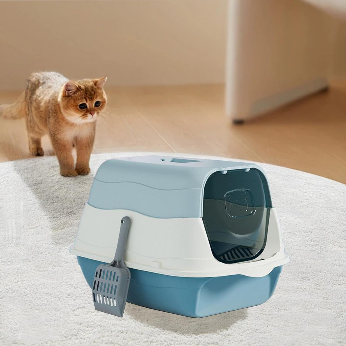 Enclosed Cat Litter Box with Lid and Scoop Q74145