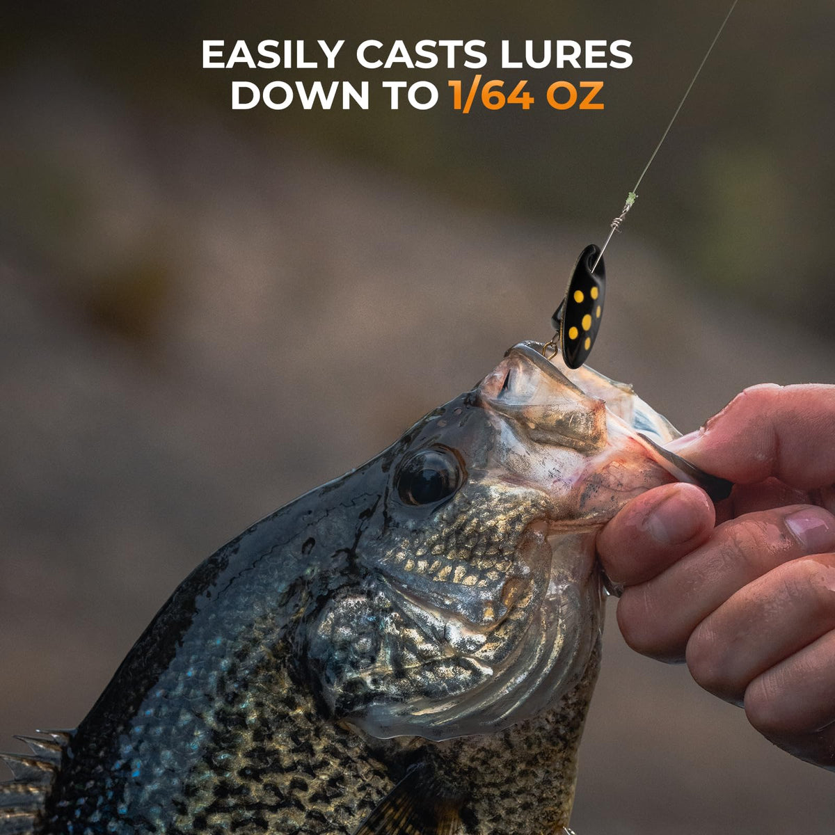Fishing Rods O727665