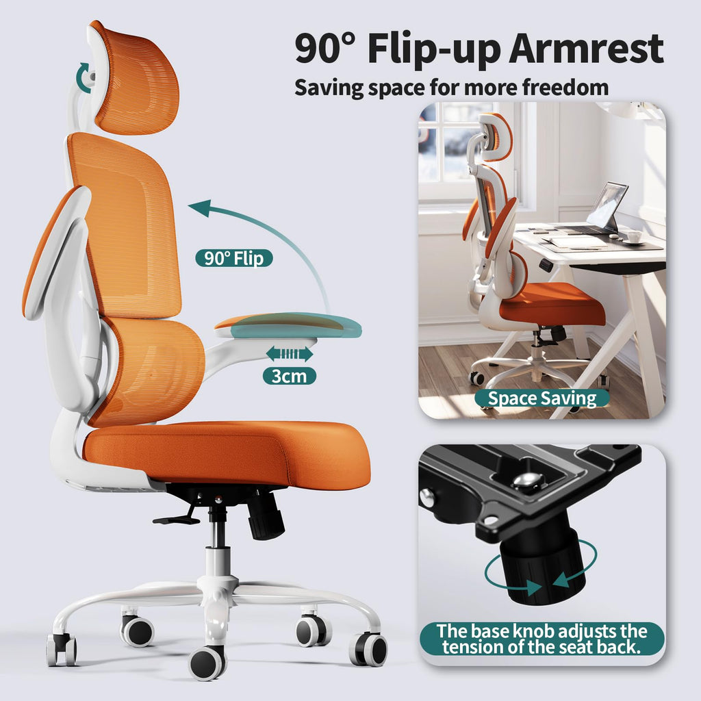 Ergonomic Office Chair with Lumbar Support C846