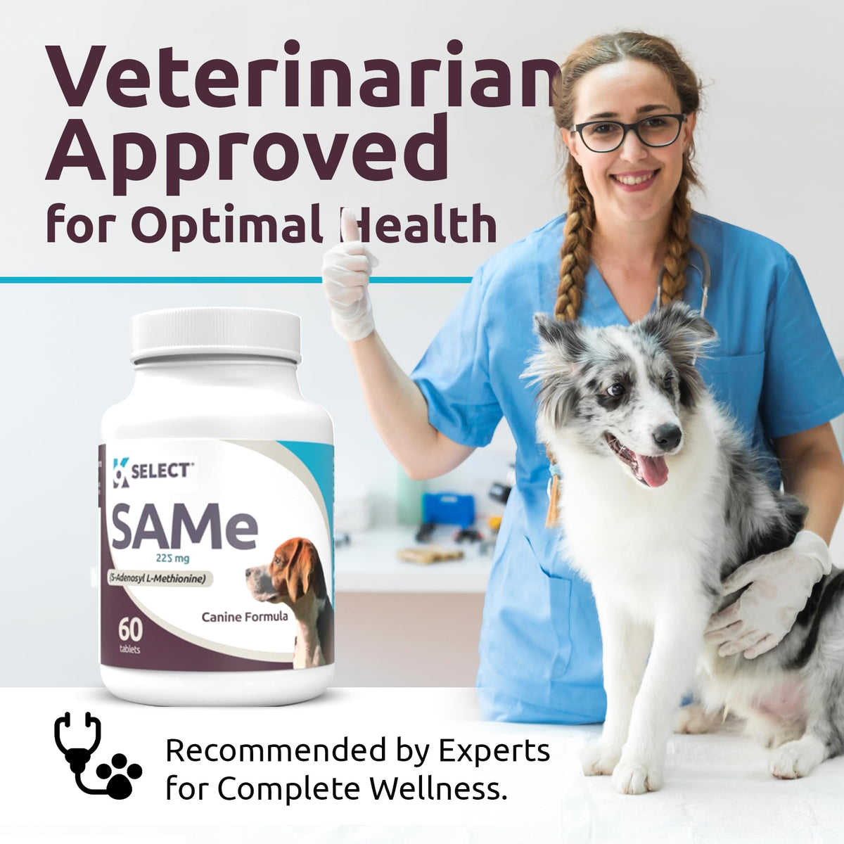 Dog Liver Supplement 60 Tablet 225mg O76108
