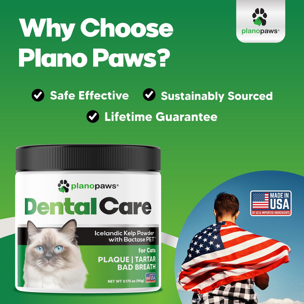 Dental Powder for Teeth Cleaning X156