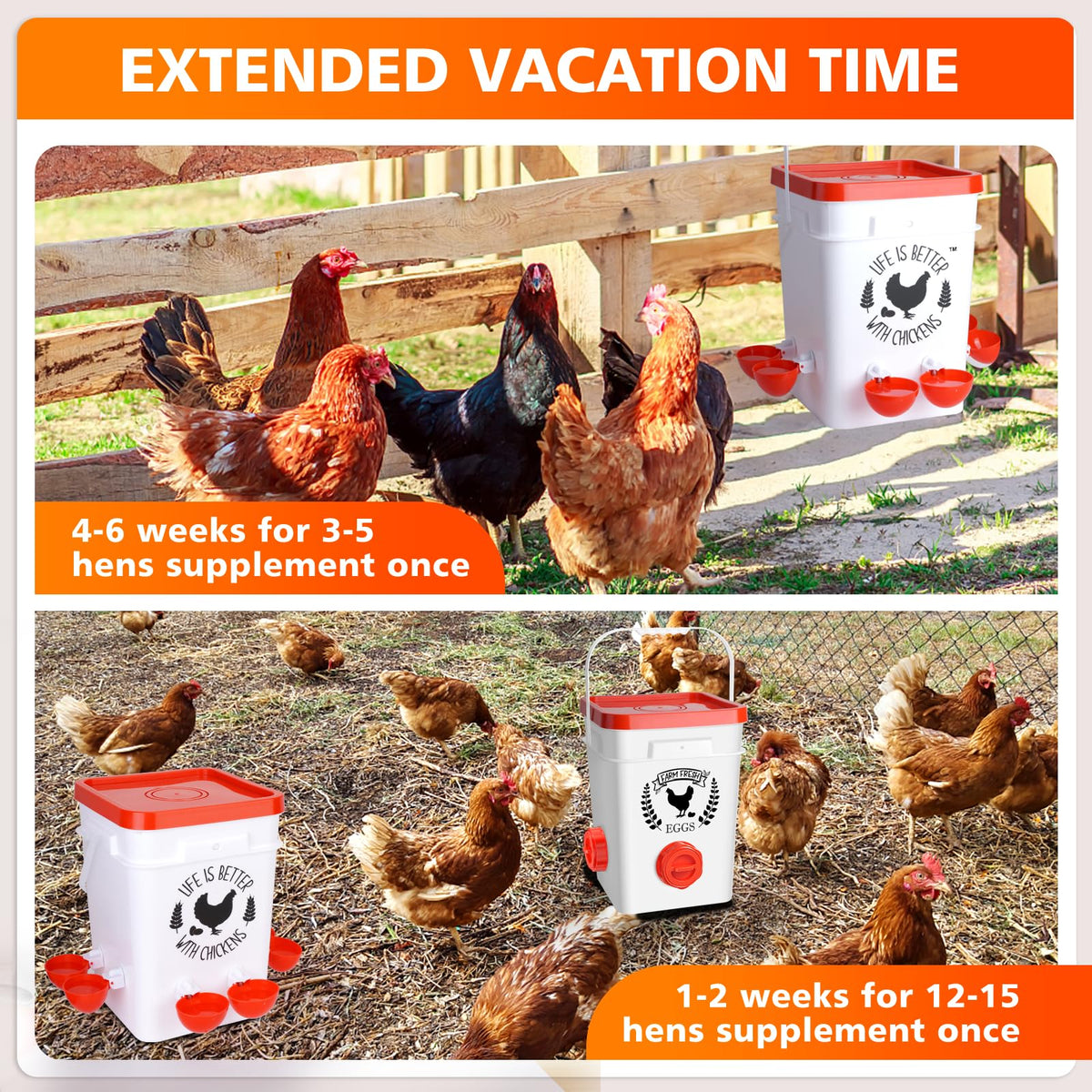 5Gal/25Lb Chicken Feeder and Waterer Set with S-Hooks Y40661