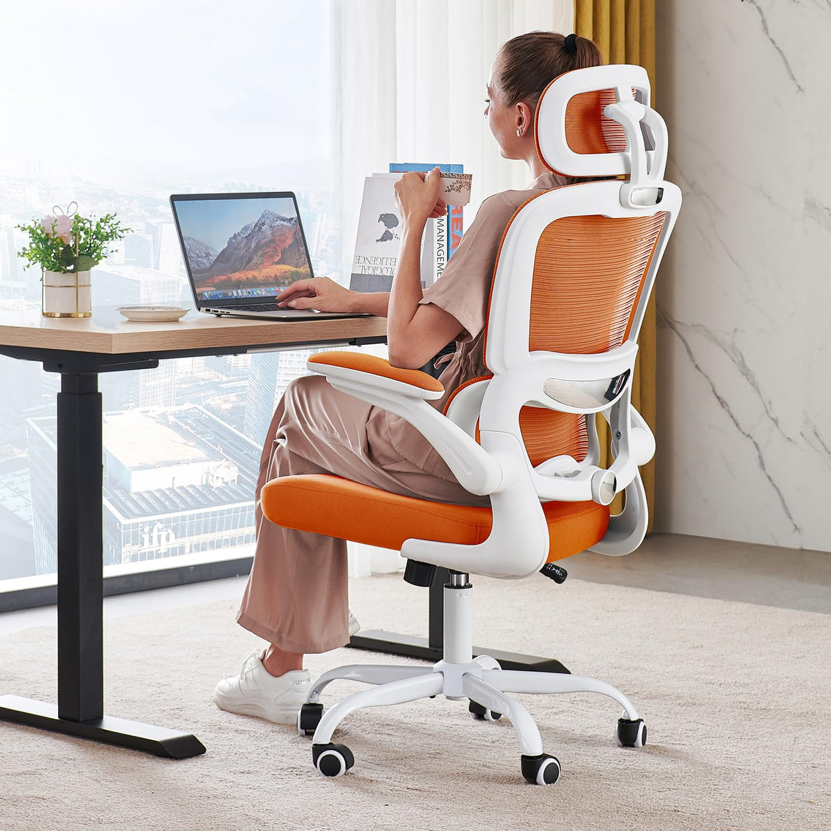 Ergonomic Office Chair with Lumbar Support C846