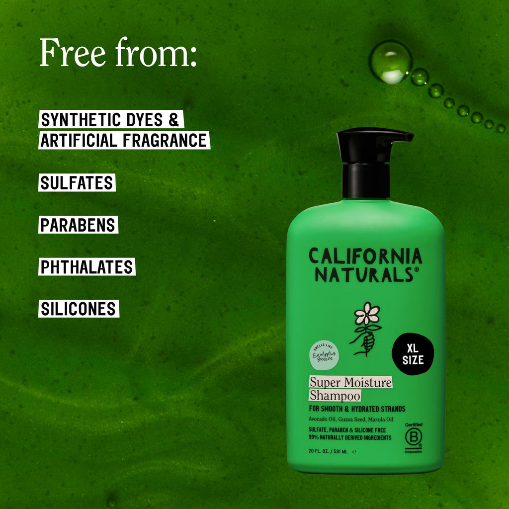 Eucalyptus Breeze Moisture Shampoo and Conditioner Set 20 fl oz L519627