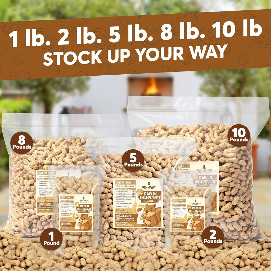 Raw Peanuts for Squirrels and Birds, 5 Pounds Total B431