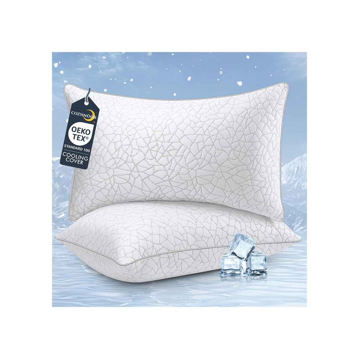 King Size Down Alternative Pillows Set of 2 F439953