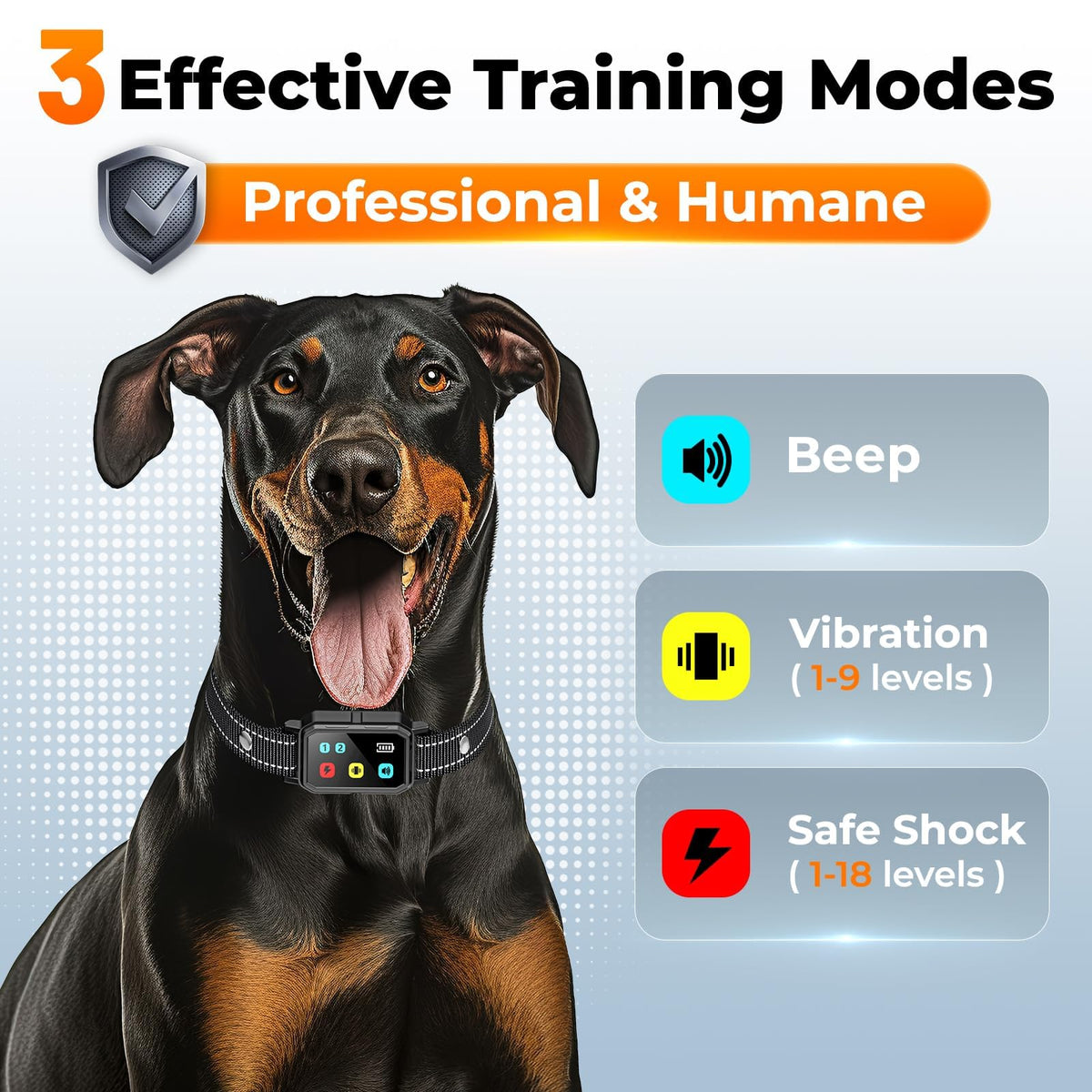 Dog Training Collar with Remote Y34494