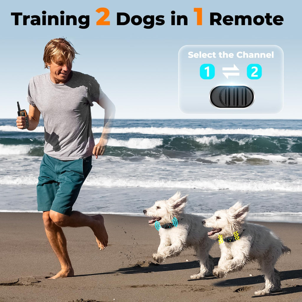Dog Training Collar with Remote Y34494