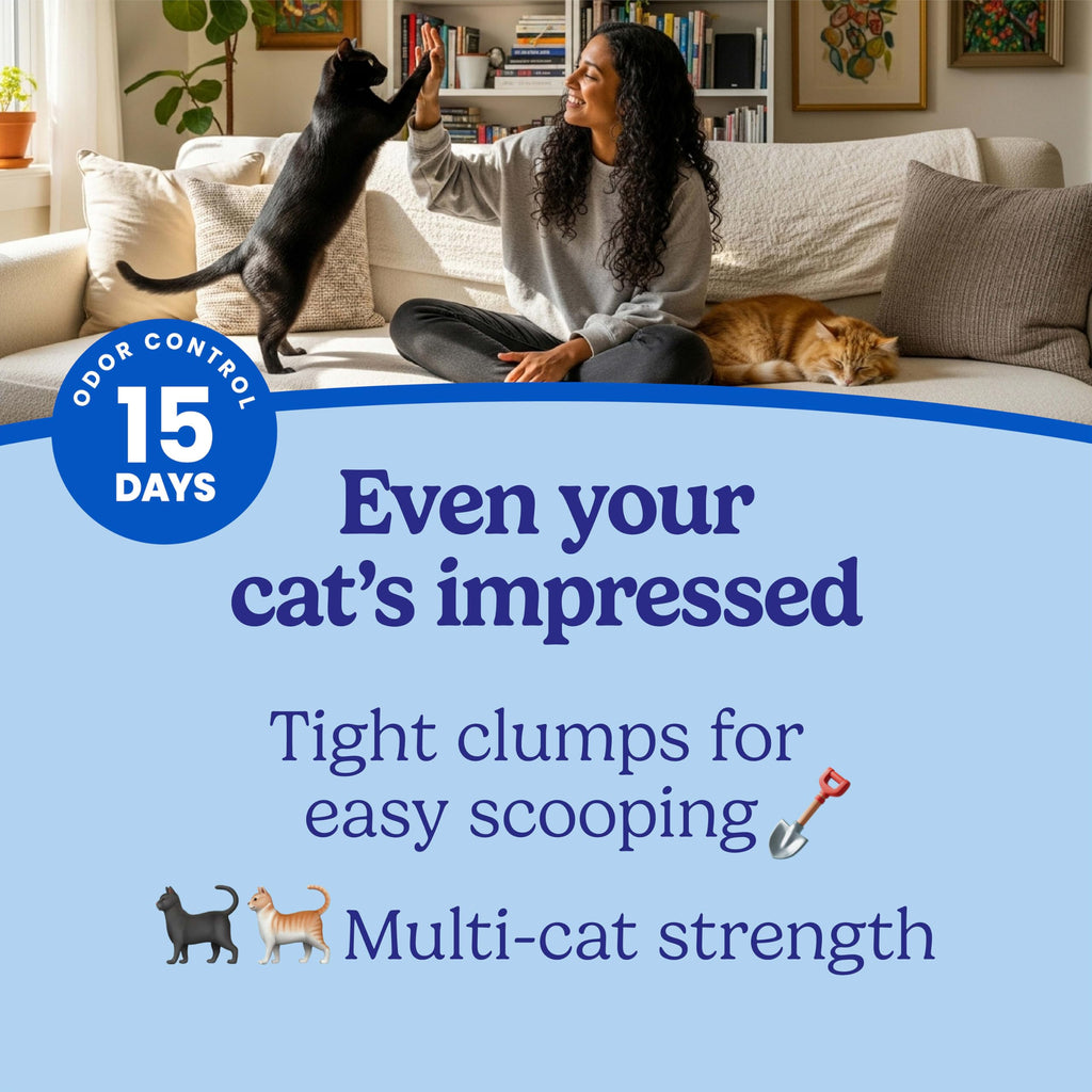 22 lb Clumping Cat Litter H50594