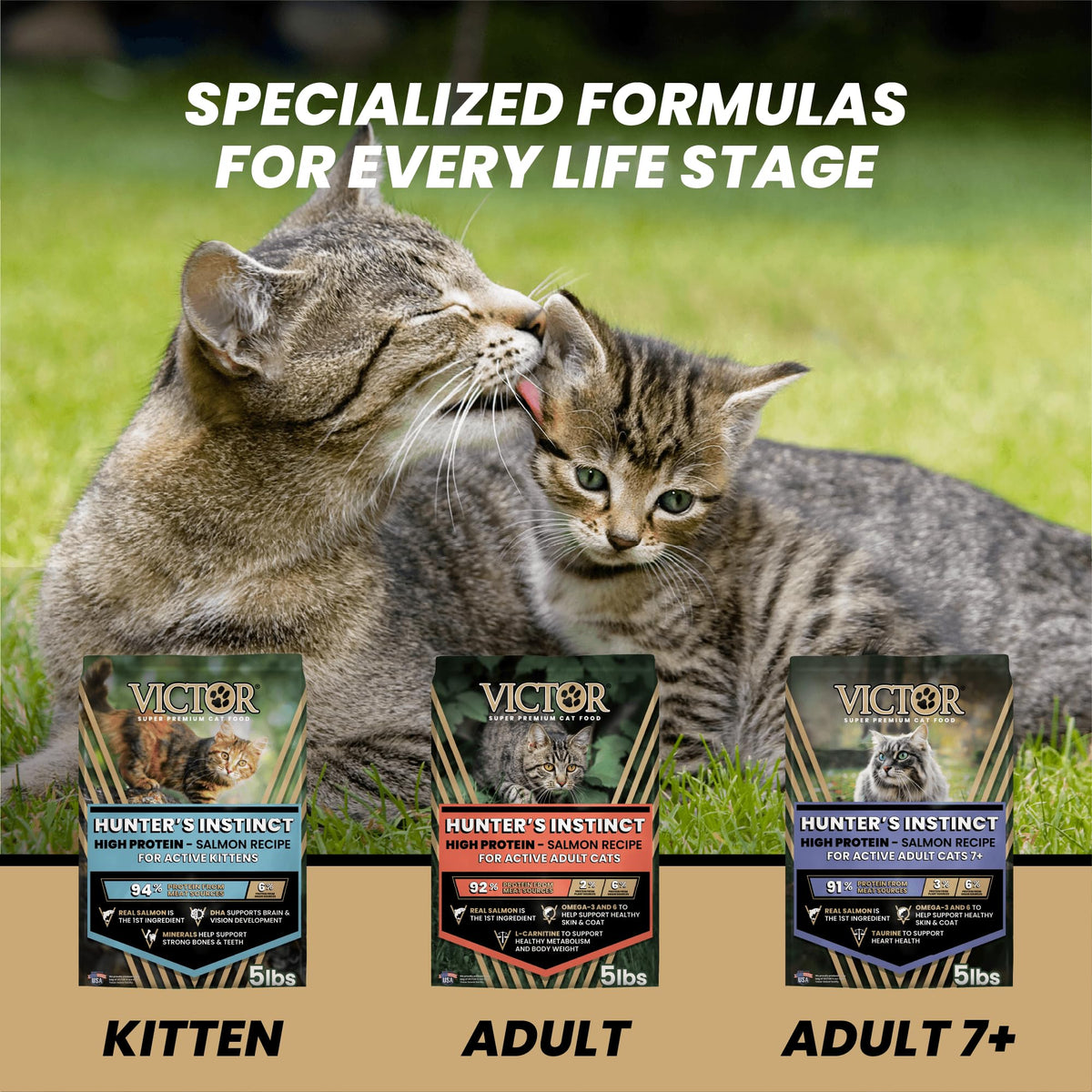High Protein Salmon Recipe for Kittens, 5lb E953756