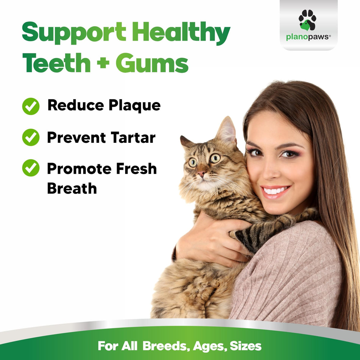 Dental Powder for Teeth Cleaning X156