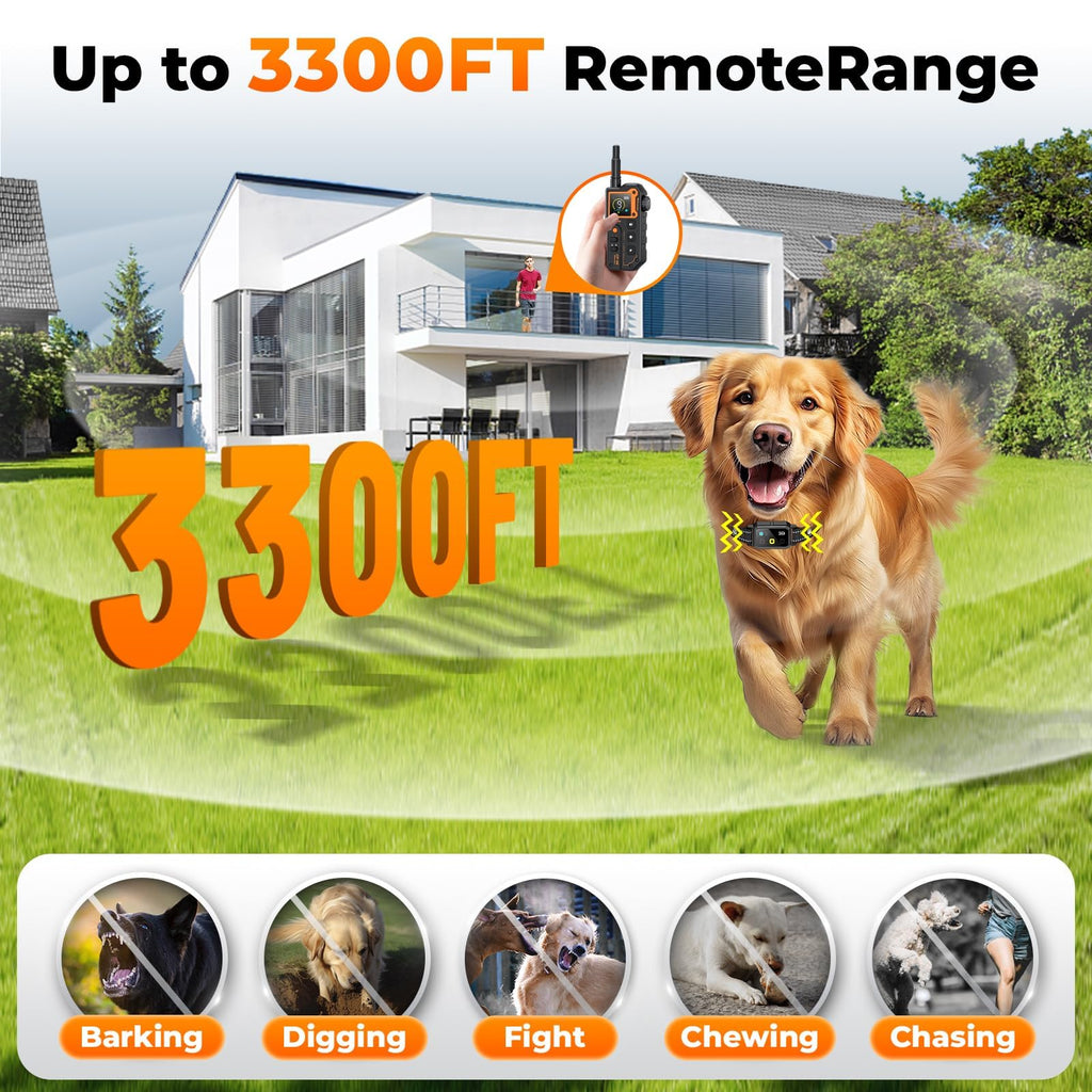 Dog Training Collar with Remote Y34494
