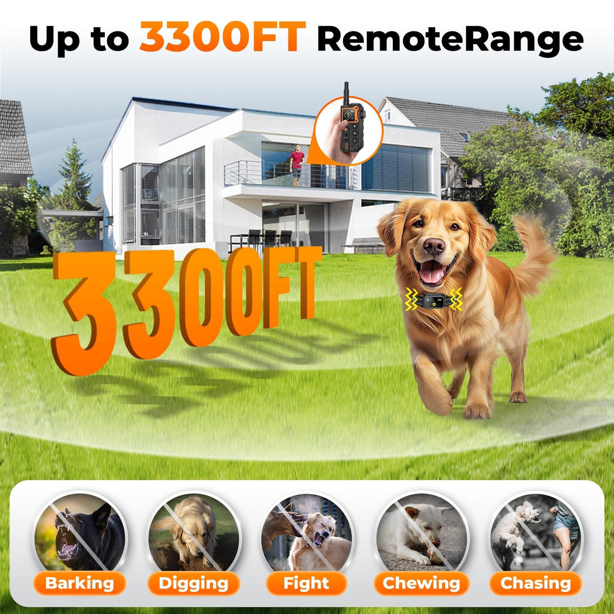 Dog Training Collar with Remote Y34494